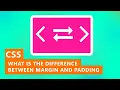 Difference Between Padding and Margin in CSS Quick Tutorial