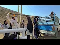 Download Lagu Van kiespijn tot het bouwen van een droomdak; de familie van Mohammed vecht tegen alle tegenslagen!