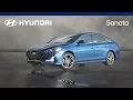Download Lagu [The new Sonata] Product Information Film
