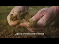 Debunking 5 Common Misconceptions about Eating Organic