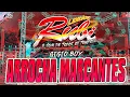 Download Lagu LENDÁRIO RUBI - ARROCHA MARCANTES - SEQUÊNCIA DJ GIGIO BOY