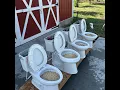 Round 2 What toilet should I buy 4 different brands compared