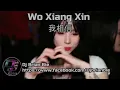 Download Lagu Wo Xiang Xin 我相信  I Believe (Aku Percaya)Remix By Dj Brian Bie Hot Song Douyin Tiktok