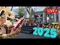 Lagu 🔴 LIVE 🔴 NGELUKAT  (BEC) 2025  Banyuwangi Ethno Carnival