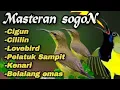Download Lagu SUPER EDAN📍MASTERAN SOGON FULL NEMBAK ISIAN NGLOCOR.#sogon #sogongacor #masteransogon
