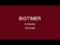 bigtimer
