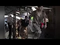 THE RAMPAGE × 湘南乃風 / 自由への大脱走 〜Running Running Running〜 (MUSIC VIDEO)