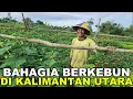 Lagu PAK KASTURI, ASAL PEKALONGAN: BAHAGIA MENANAM HARAPAN DI TANAH KALIMANTAN