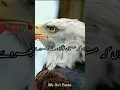 Download Lagu mujhe agar puri duniya bhi chhod jaaye na