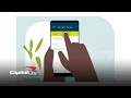 How to Activate Use Paze Capital One