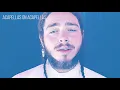 Post Malone - Circles Acapella