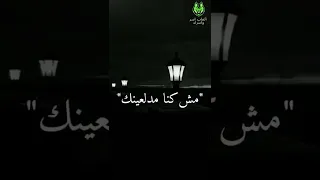 حاله واتس اب سوداء بذمتك و دينك مش كنا مدلعينك      دندنها