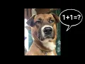 Module 2 Excel Basics