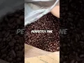Download Lagu This woman caught Starbucks putting this in the trash  😱 🎥 thetrashwalker