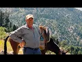 HONEY DOCUMENTARY (Honey Hunting in the Mountains, Discovering Natural Honey)