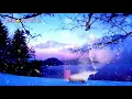 양준일⭐겨울나그네 (가사첨부)