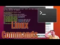 Environment Setup 3 Introduction to Linux shell commands in bash