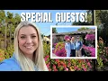 Download Lagu Special Guests Visiting the Garden Today! 💗🌻🌿