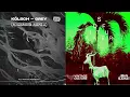 Kölsch Vs Vintage Culture & John Summit - Grey Vs Drinkee