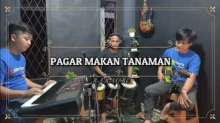 pagar makan tanaman karaoke nada cowok mansyur s