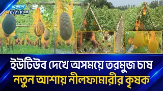 মৌসুমের বাইরে তরমুজ চাষ করে সাফল্যের আশা নীলফামারীর কৃষক ওমর আলীর | Watermelon Farming | Ekushey TV