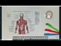 HoverCam Academy Chapter 15 Annotation Wheel