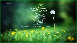 Tôi thấy hoa vàng trên cỏ xanh