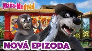 Máša a Medvěd 💥 NOVÁ EPIZODA 💥 Rybina ve vzduchu 🎪🦭🐺 Kolekce epizod 🎬