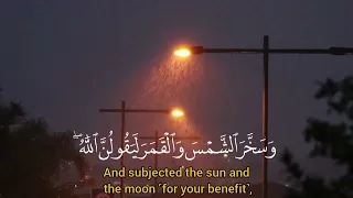 ولئن سألتهم من خلق السموات والأرض   تلاوة القارئ عبد الرحمن مسعد دندنها