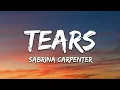 Download Lagu Sabrina Carpenter - Tears (Lyrics)
