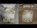 Download Lagu VIDIO PRAKTIKUM PERTUMBUHAN DAN PERKEMBANGAN PADA KECAMBAH BIJI KACANG HIJAU || MEDIA KAPAS