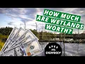 AP Environmental Science 2 2 - Ecosystem Services and Wetlands