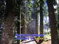Download Lagu Temmy Rahadi \u0026 R Nada - Riangnya Burung