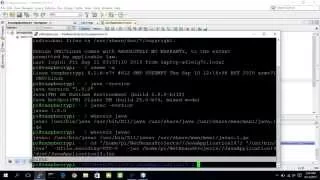 Remote run Java on Raspberry Pi host from NetBeans on Windows 10