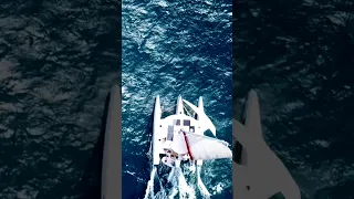 Why choose a fast sailboat? #shorts #sailing #trimaran