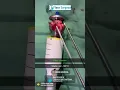 Download Lagu Advanced Piles Stapler Gun Operation ? How Piles Really look like ?