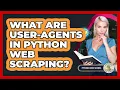 What Are User-Agents In Python Web Scraping - Python Code School