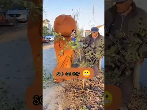 Why they don't hire me ?watch it again and laugh again#rippibear #trollbear #funnybear #funnycosplay