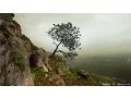 Download Lagu 3 uur van mooie viool gitaar fluit harp cello piano muziek - instrumentale muziek