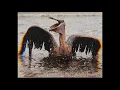 Download Lagu SUGNO - Futur troublé
