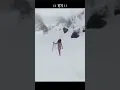 Download Lagu Sadhu living under snow in Himalayas || and Indian army