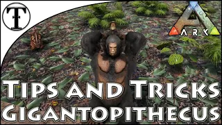 Fast Gigantopithecus Bigfoot Taming Guide Ark Survival Evolved Tips and Tricks