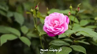رفيقة غيم وزهر ول طف بدر النفيس 