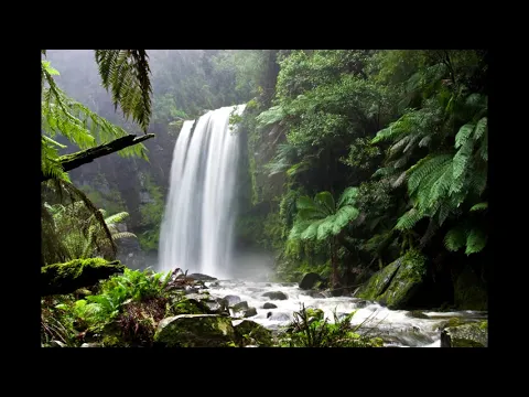 Download MP3 KECAPI SULING SUNDA DENGAN SUARA ALAM 1 JAM - ONE HOURS INDONESIAN  TRADITIONAL MUSIC