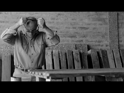 Capacidades - Trailer