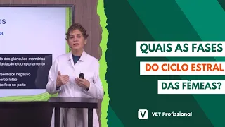 Fisiologia veterinária: sistema reprodutor das fêmeas