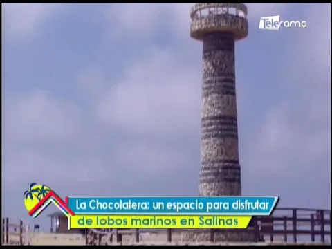 La Chocolatera: Un espacio para disfrutar de lobos marinos en Salinas