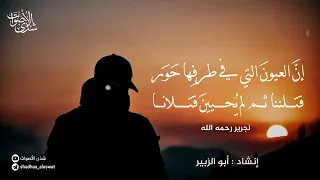                                                دندنها