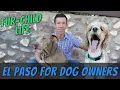 El Paso Texas for Dog Lovers