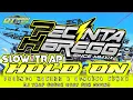Download Lagu SLOW TRAP HOLD ON | PECINTA HOREGG ft OTNAIRA cocok buat cek sound